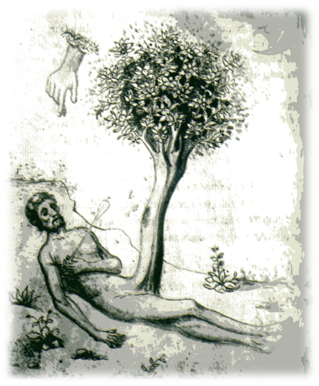 Adan con el falo-arbol de la Vida. Ilustracion del siglo XV. Adan con el falo-arbol de la Vida. Ilustracion del siglo XV.