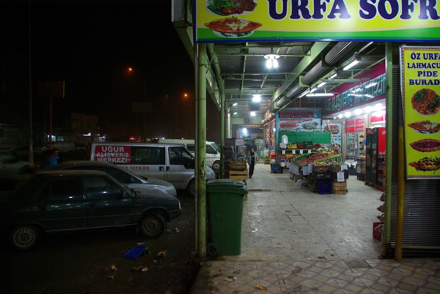 IMGP3172.JPG