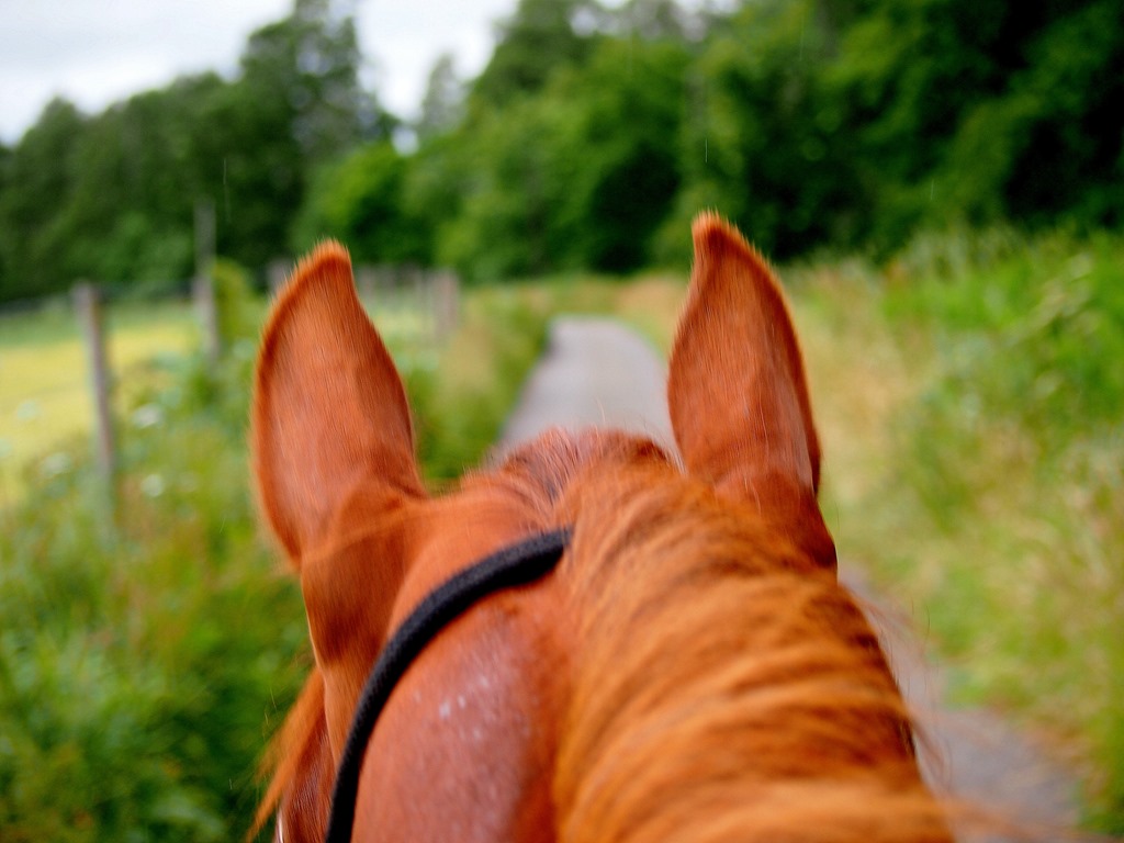 [16%2520July%252015%255B3%255D.jpg]