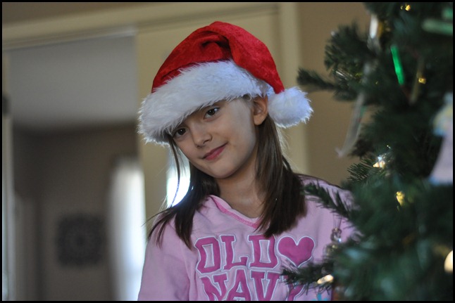 DSC_0174 DSC_0174