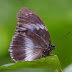 P1000760