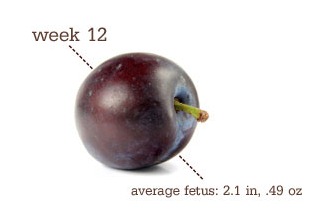 [Week12%255B3%255D.jpg]