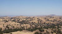DSC02994.jpg