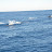 DSC_3708.JPG