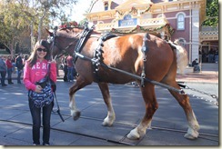 IMG_9613 IMG_9613