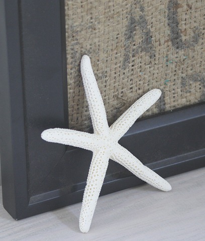 [StarfishDecorating5.jpg]
