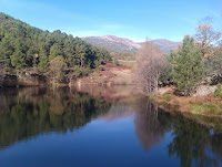 Pantano Lanzahita Photo
