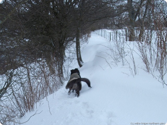 easy riverside path - weardale way