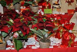 Natale 017