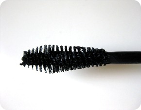 IMG_4338