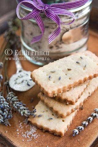 [biscuiticulevantica25.jpg]