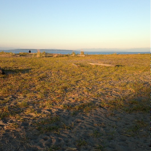 [IMG_0285%255B6%255D.jpg]