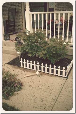 fence