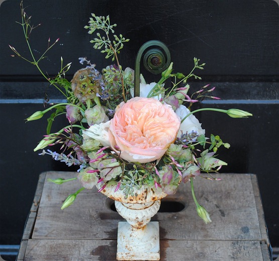 DSC_0017vrebecca shepherd floral design