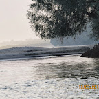 IMG_6460.JPG