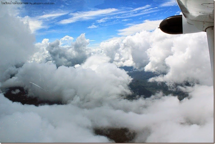 IMG_2842 IMG_2842