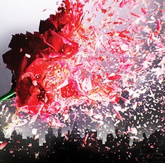 A Screen Gems nagyvászonra adaptálja a Black Cityt