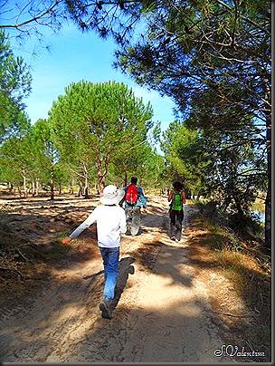 SAM_0032 SAM_0032