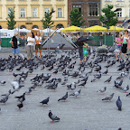 Krakow, Lagiewniki, Tyniec 220.JPG