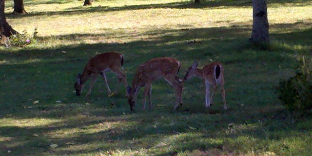 [2011-10-03_15-31-16_653%255B4%255D.jpg]