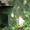dsc06811.jpg