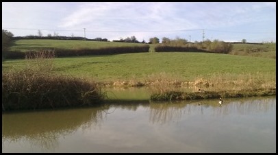 Side waterlife ponds