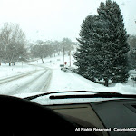 IMG_7894.JPG