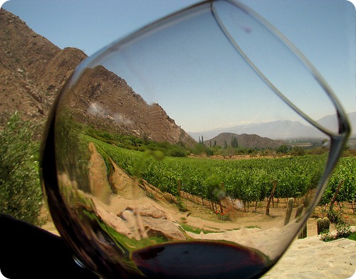 museo del vino cafayate9