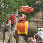 IMG_1026.JPG