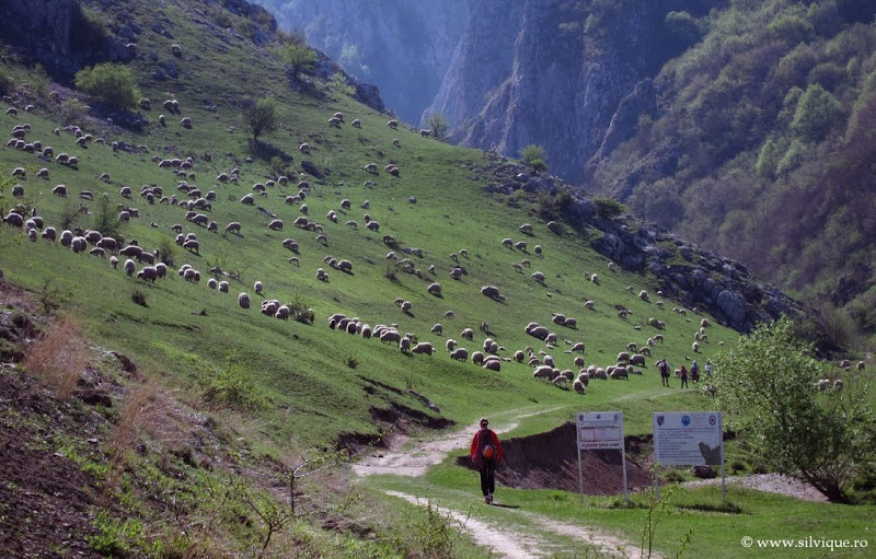 Bicicleta in zona Campina