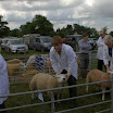 GLAShow 2012 023.jpg