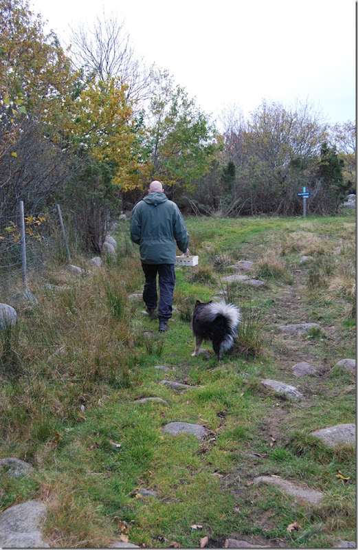 Slåper og kveder okt 2011 011