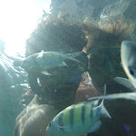 P1110482.JPG