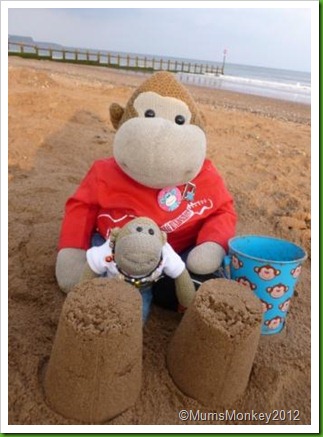 Sandcastles Dawlish Warren