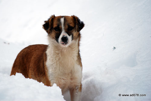 DSC_1961.jpg