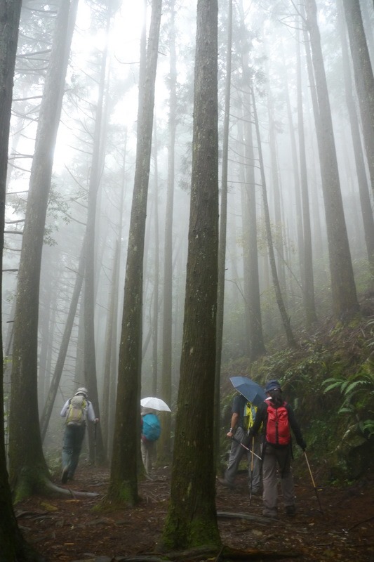 2013_0413 橫嶺山木馬古道_021 2013_0413 橫嶺山木馬古道_021