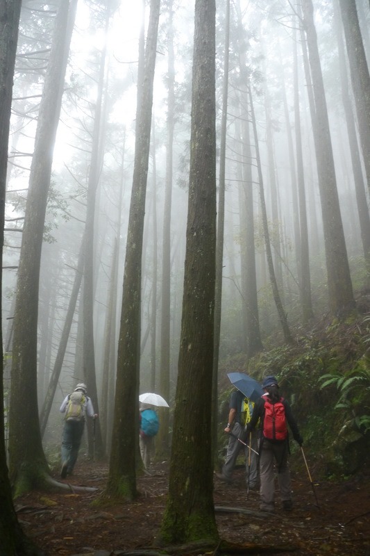 2013_0413 橫嶺山木馬古道_021