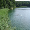 w głębinach jez. Trześniowskiego dsc01941.jpg