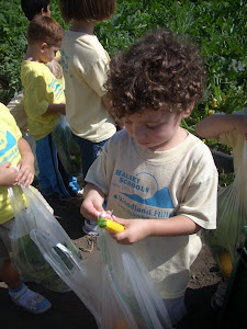 Look at that yellow squash!