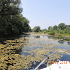 DSCN8350.JPG