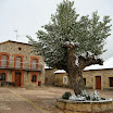 2013-sotosalbos-nieve12.jpg