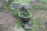 IMG_9259.JPG Photo