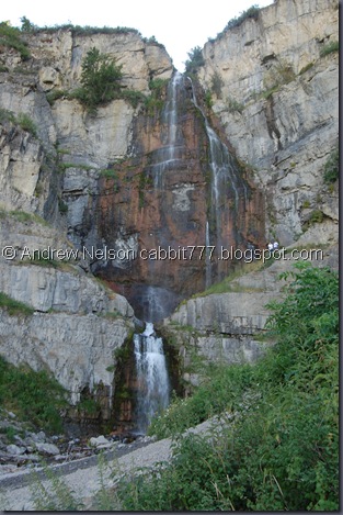 DSC_0019 DSC_0019