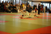 IMG_0765.jpg
