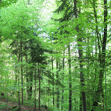 [2011-04-22] Hike west of Baden