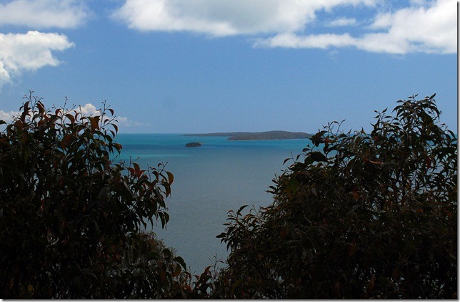 DSC_5446 DSC_5446