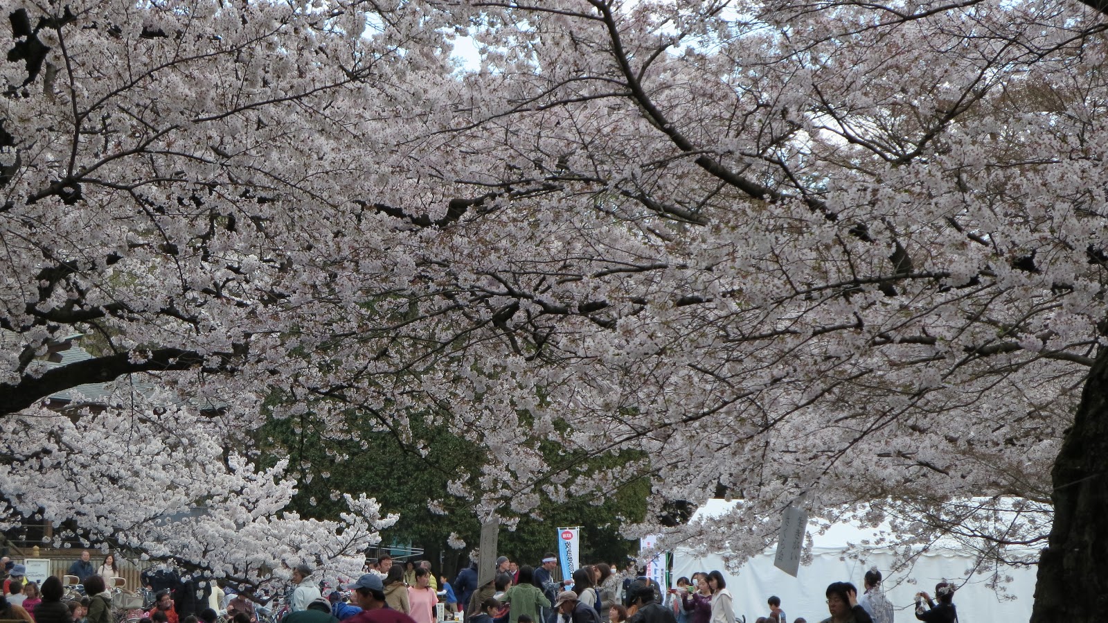 [IMG_0936%255B3%255D.jpg]