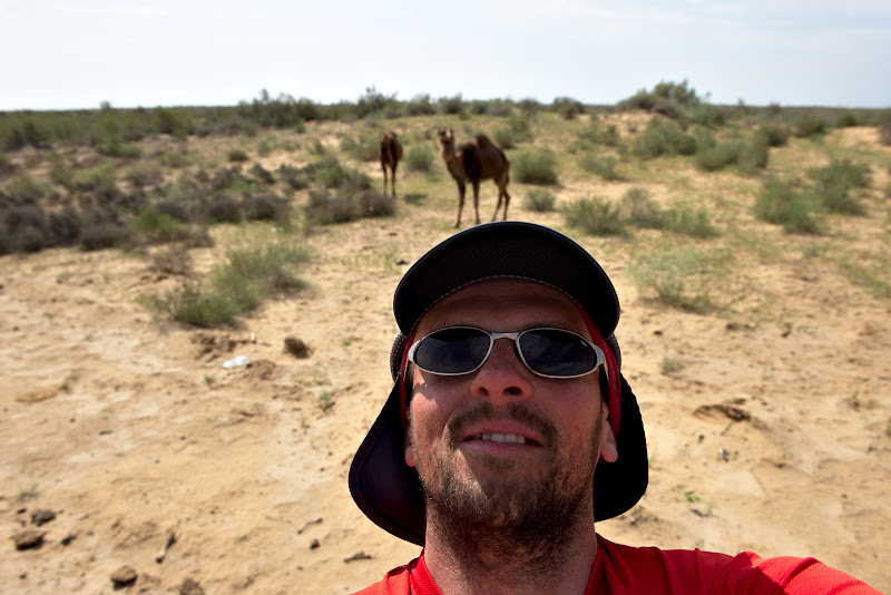 There be camels.