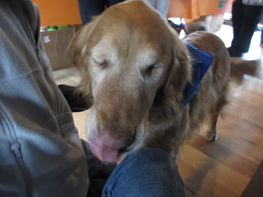 I'm thankful that my human didn't let my blindness stop him from loving me