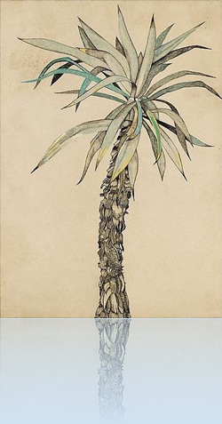 Acquavella Galleries - Lucian Freud Drawings